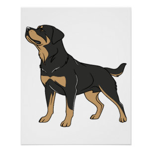 Rottweiler Dog, Rottweiler Dog Standing Poster