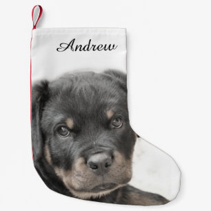 Rottweiler dog small christmas stocking