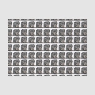 Rottweiler dog tissue paper