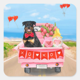 Rottweiler Dog Valentine's Day Truck Hearts Square Sticker