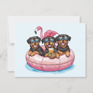 Rottweiler Dogs Flamingo Summer Pool Tube Postcard