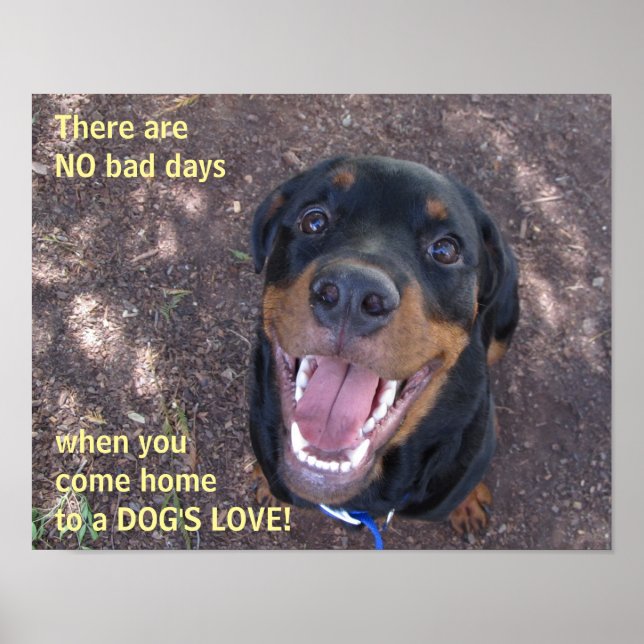 Rottweiler Dog's Love Poster (Front)