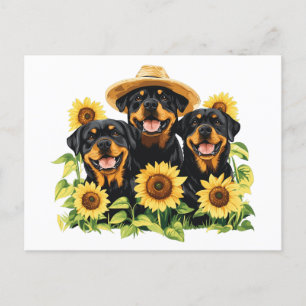 Rottweiler Dogs Surrounded By Sunflowers Holiday Postcard