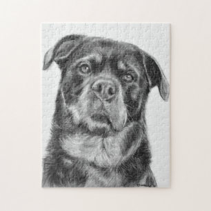 Rottweiler Drawing Jigsaw Puzzle