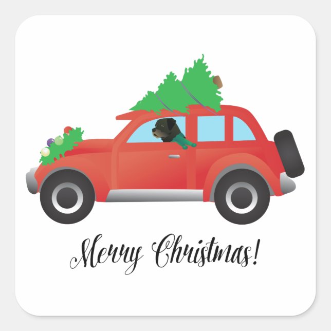 Rottweiler Driving Christmas Car Square Sticker (Front)