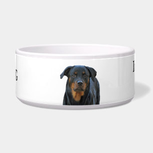 Rottweiler Drool Warning Dog Bowl