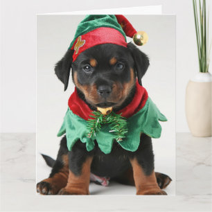 Rottweiler Elf Puppy Christmas Card 