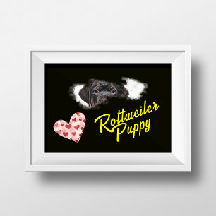 Rottweiler Eyes Solid Colour  Poster