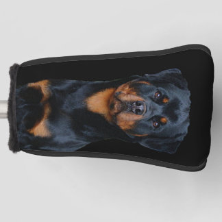 Rottweiler golf head cover