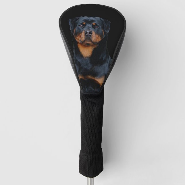 Rottweiler  golf head cover (Front)