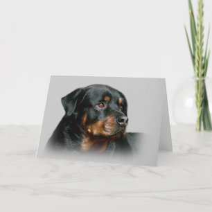 Rottweiler Greeting Card