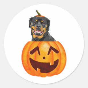 Rottweiler Halloween  Classic Round Sticker