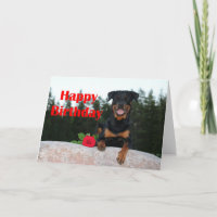 rottweiler happy birthday