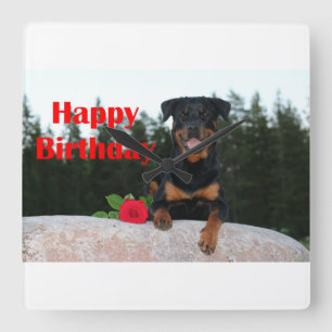 rottweiler happy birthday square wall clock