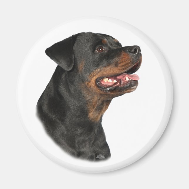 Rottweiler head magnet (Front)
