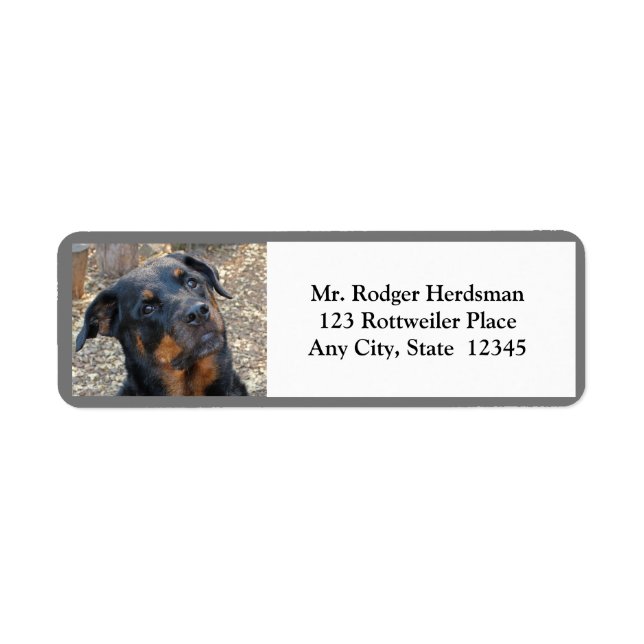 Rottweiler Head Tilt Cutness Return Address Labels (Front)