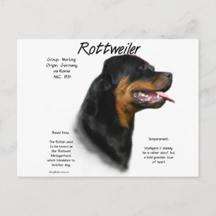 Rottweiler History Design Postcard