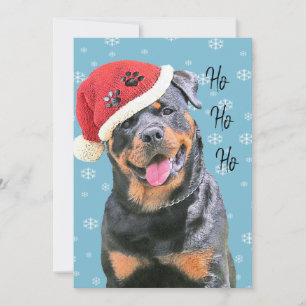 Rottweiler Holiday Card