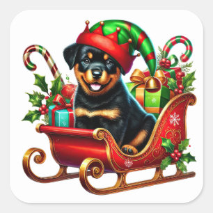 Rottweiler in Christmas Gift Sleigh Square Sticker