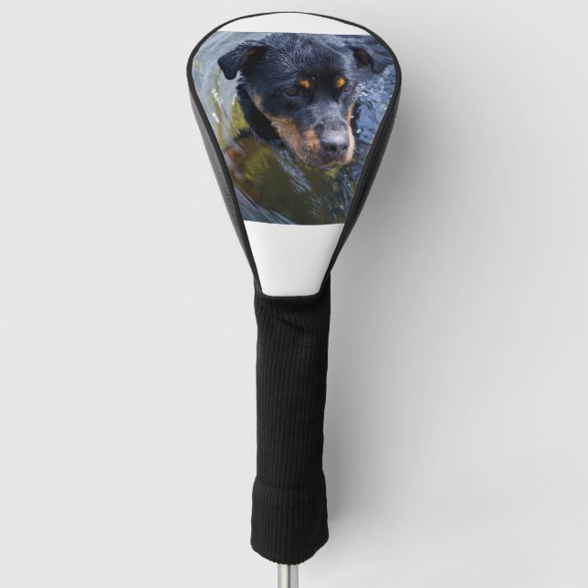 rottweiler in water golf head cover (Front)