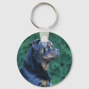 Rottweiler  keychain
