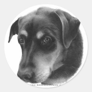Rottweiler-Lab Mix Classic Round Sticker