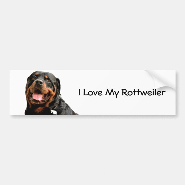 Rottweiler Love Bumper Sticker (Front)