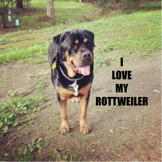 rottweiler love w pic tan photo sculpture key ring (Front)