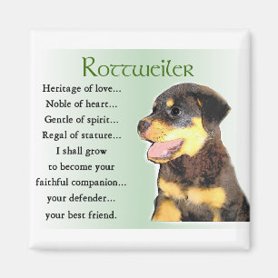 Rottweiler Lovers Gifts Magnet