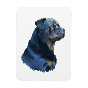 Rottweiler  magnet