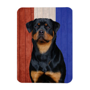 Rottweiler   magnet