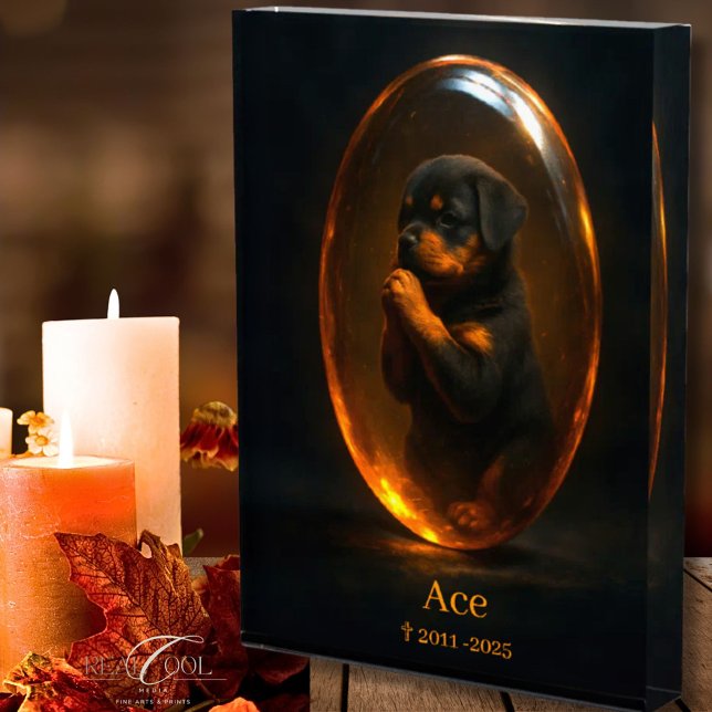 Rottweiler Memorial Photo Block (Creator Uploaded)