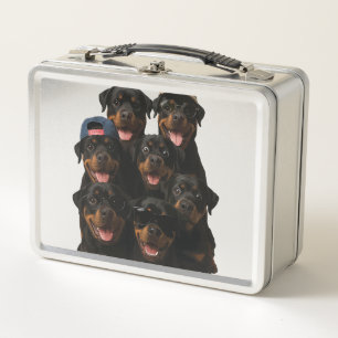 Rottweiler Metal Lunch Box