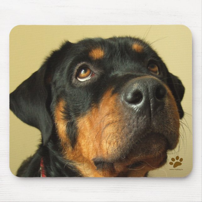 Rottweiler Mouse Mat (Front)