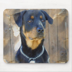 Rottweiler Mouse Pad