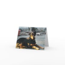 Rottweiler Note Card - blank