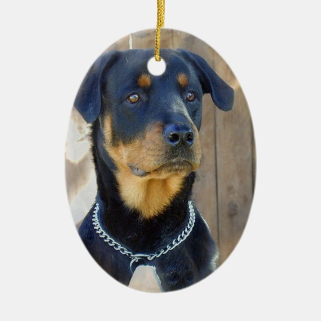 Rottweiler Ornament (Front)