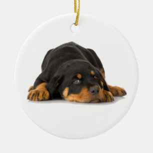 Rottweiler Ornament