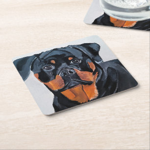 Rottweiler Painting by Alfred Fox Square Paper Coaster