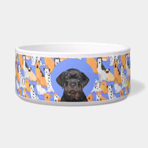 Rottweiler Personalised Photo & Name Dog Bowl