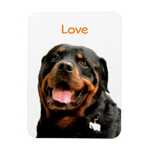Rottweiler Photo Magnet