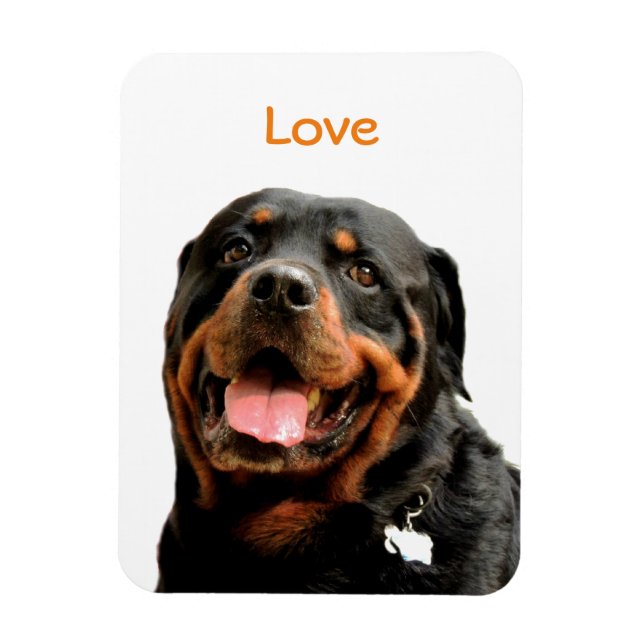 Rottweiler Photo Magnet (Vertical)