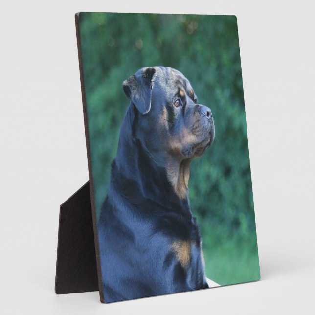 Rottweiler  plaque (Side)