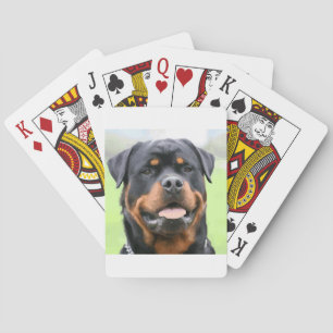 rottweiler playing cards