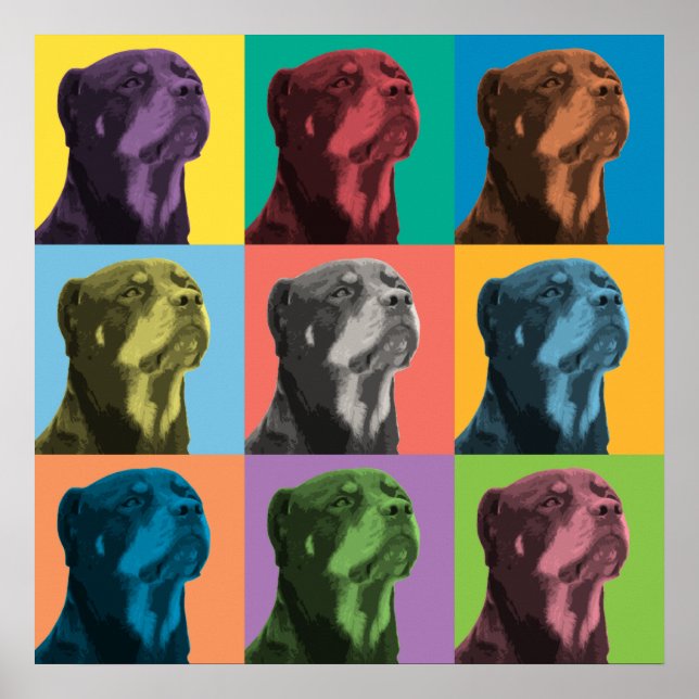 Rottweiler Pop-Art Poster (Front)