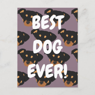 Rottweiler postcard