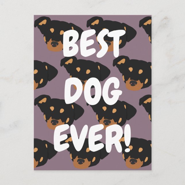 Rottweiler  postcard (Front)