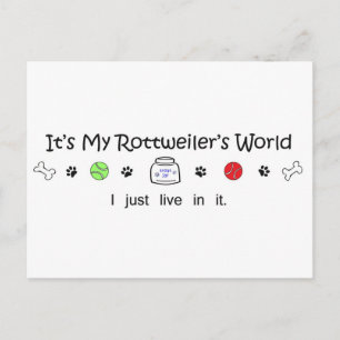 Rottweiler Postcard