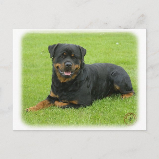 Rottweiler Postcard (Front)