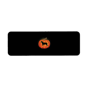 Rottweiler Pumpkin Halloween Costume Dog Lover